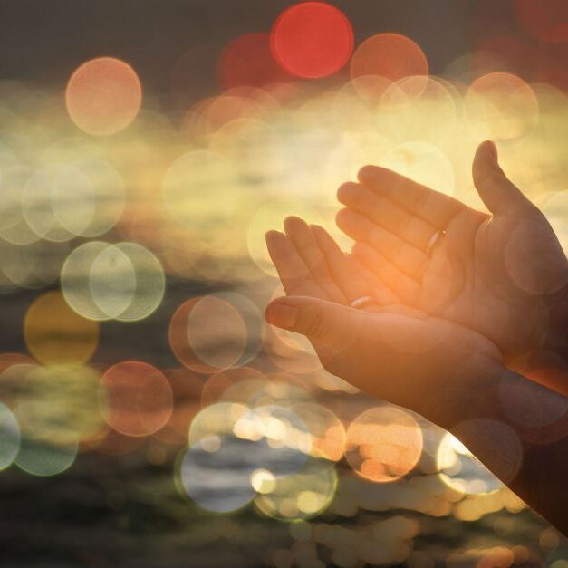 WhatsApp Image 2022-03-04 at 20.27.22